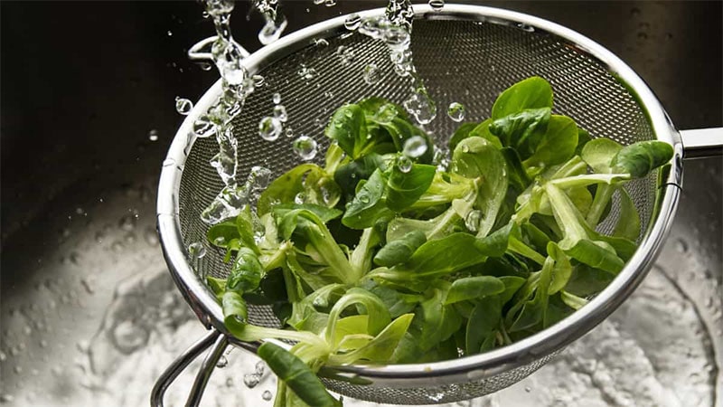 شستشوی صحیح سبزیجات بهترین راه جلوگیری از بیماری