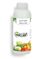 وجی کلین